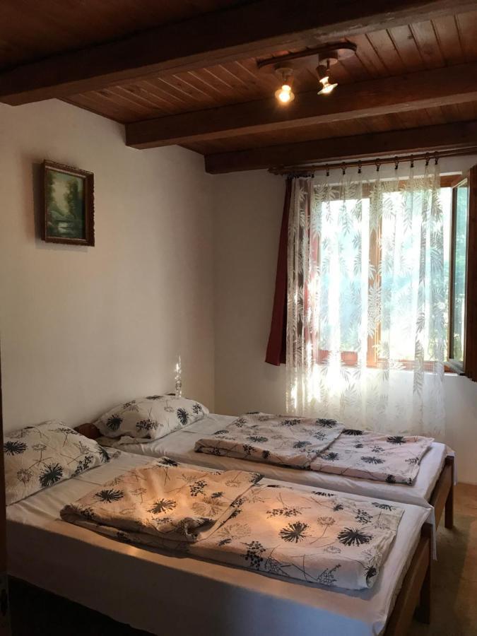 Venusz Ueduelocentrum Tiszacsege エクステリア 写真